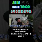 8月5日配信予告！小型水槽を立ち上げる。レイアウトのコツや小技も満載です！ #アクアリウム #水槽部屋  #熱帯魚