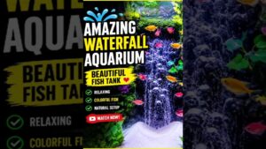 Amazing-Waterfall-Aquarium-Beautiful-Fish-Tank-Decoration-Relaxing-Aquarium-Video