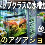 日本トップレベル‼レイアウト水槽が超大量のアクアショップ‼　後編【Aqua Revue】aquarium　アクアリウム　熱帯魚　水槽　水草　流木　テラリウム　パルダリウム　メダカ　ADA