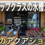 日本トップレベル‼レイアウト水槽が超大量のアクアショップ‼　前編【あAqua Revue】aquarium　アクアリウム　熱帯魚　水槽　水草　流木　テラリウム　パルダリウム　メダカ　ADA