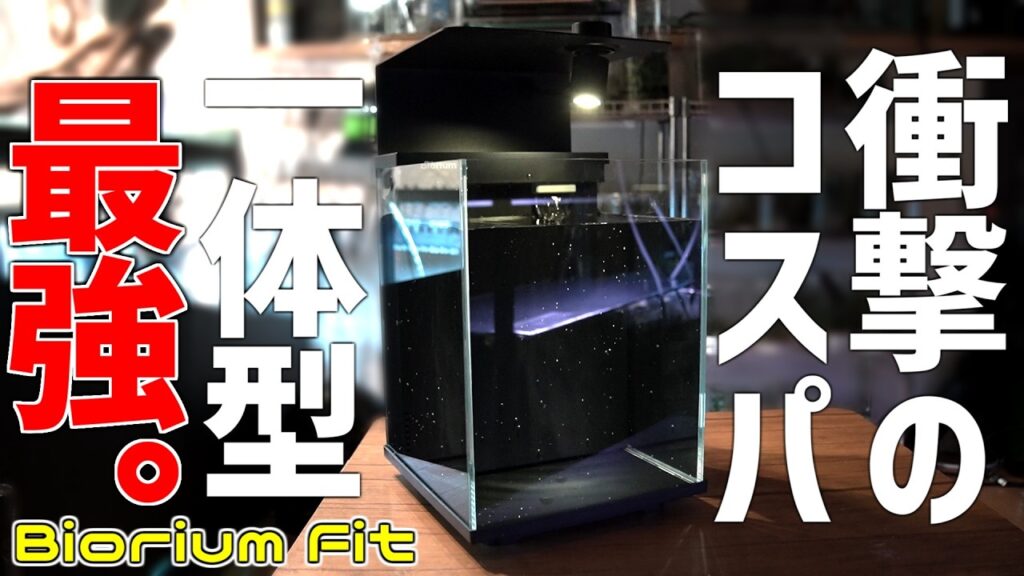 Biorium-Fit850
