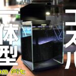 最新の小型一体水槽が登場！衝撃の価格とその全貌を徹底解説&レビュー！Biorium Fit#850【アクアリウム】