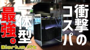Biorium-Fit850