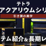 【新商品レビュー】配線ゼロの『没入アクアリウム』実際どう？良い点・いまいちな点まとめ 没入アクアリウム  ワイヤレスポンプ  ブリラントフィルター  CO2グラスキット 長期レビュー
