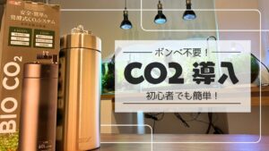 CO2GEX-BIO-CO2A-beginner-finally-makes-their-CO2-debut-095-