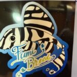 プレコハウスに、潜入！Fumiブリードさんのお宅を紹介！【アクアリウムトールマン動画チャンネル！トールマンTV!】