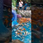 Hidden Waterfall Inside Aquarium Paradise Bangalore 😍 | Must Visit Place