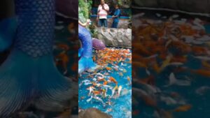 Hidden-Waterfall-Inside-Aquarium-Paradise-Bangalore-Must-Visit-Place