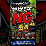 【初心者必見】アクアリウムでやりがちなNG行為5選！あなたはいくつ当てはまる？
