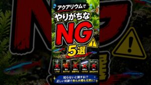 NG5
