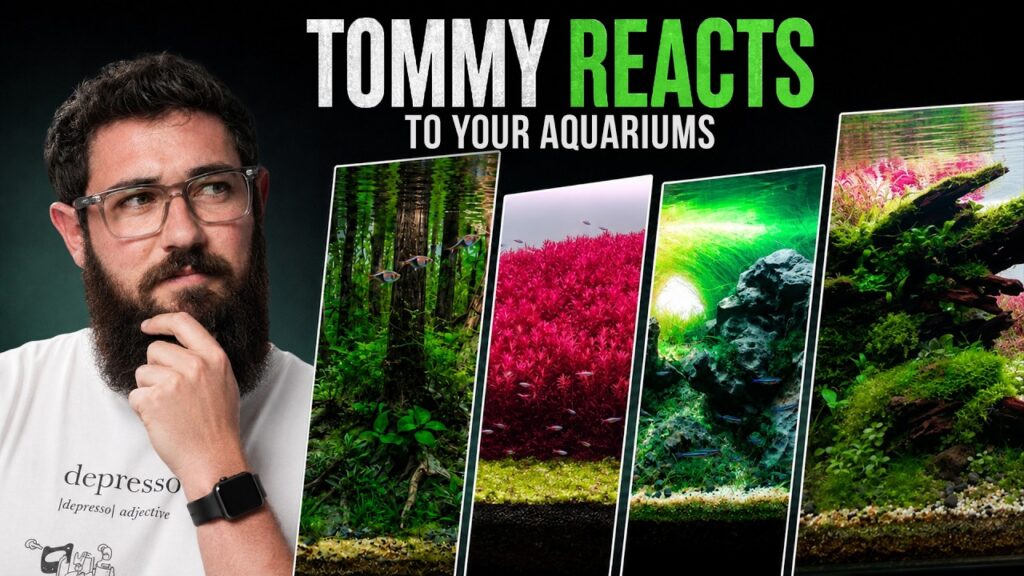 Tommy-REACTS-to-YOUR-AQUARIUMS-2026