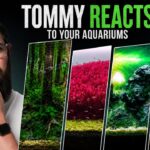 Tommy REACTS to YOUR AQUARIUMS (2026)