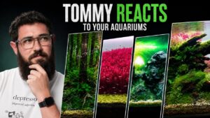 Tommy-REACTS-to-YOUR-AQUARIUMS-2026