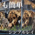 【アクアリウム】倉庫にあった余り物素材で簡単シンプルレイアウト【Vlog】