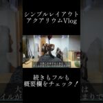 【アクアリウム】誰でも簡単シンプルアクアリウムレイアウト作成Vlog #アクアリウム #水槽部屋 #aquarium #vlog
