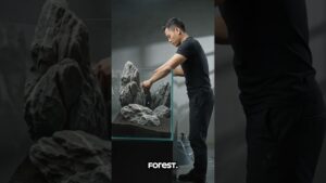 Water-Falls-Tank-aquarium-aquascape-naturevibes-creative-fyp-shorts-waterfalls-planting
