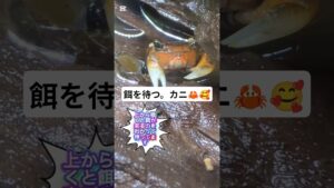 aquarium-1-2