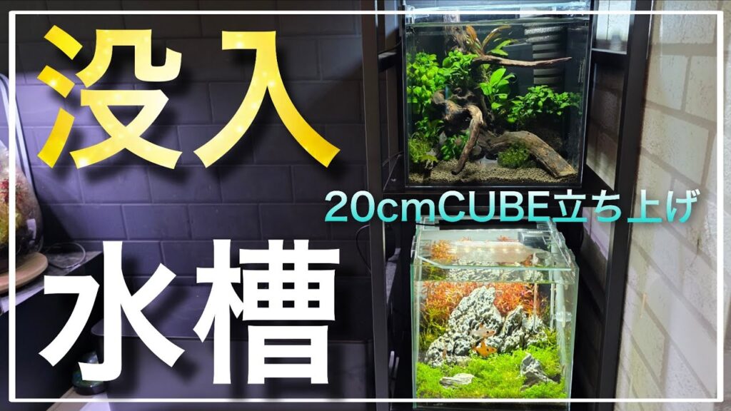 aquarium