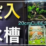 アクアリウムの世界に没入‼テトラの新商品をレイアウトしてみた‼　aquarium　アクアリウム　熱帯植物　金魚　熱帯魚　水草　流木　メダカ　没入アクアリウム