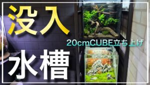 aquarium