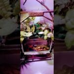 pequeno aquario cascata feito com isopor e cimento