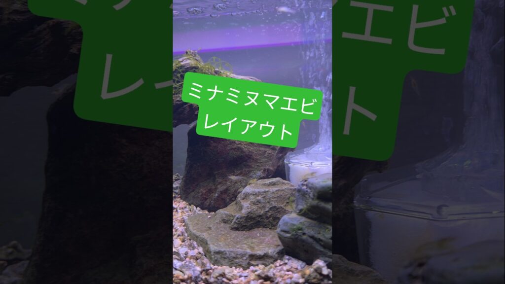 unnamed-file-1