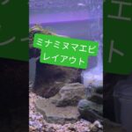 ミナミヌマエビアクアリウム！！レイアウト変えたので