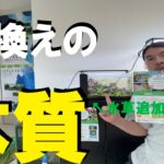 【アワーズ水槽】なぜ便利な水替えシステムを使わない？僕が考える水替えの本質と水草追加