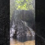 鴨川の山奥にある「四方木不動滝」が美しすぎた