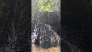 unnamed-file-13