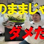 水草水槽が大ピンチ！有茎草を植え直して復活させる