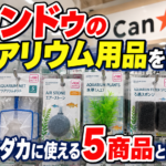 キャンドゥのアクアリウム用品を調査｜水槽・メダカに使える5商品と注意点