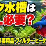 ベタ水槽は何L必要？サイズ・必要用品・フィルター・ヒーターを調査