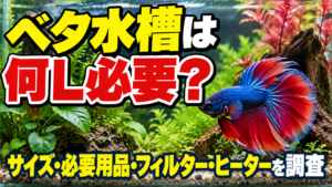 betta-kihon-1