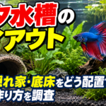 ベタ水槽のレイアウト｜水草・隠れ家・底床をどう配置する？安全な作り方を調査