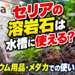 セリアの溶岩石は水槽に使える？アクアリウム用品・メダカでの使い方を調査